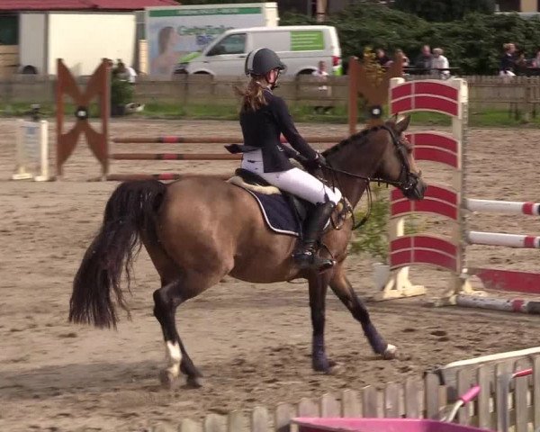 Reitturnier Schülp / Rendsburg 2020