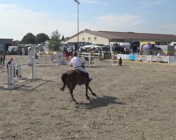 Reitturnier Sauldorf-Boll 2020