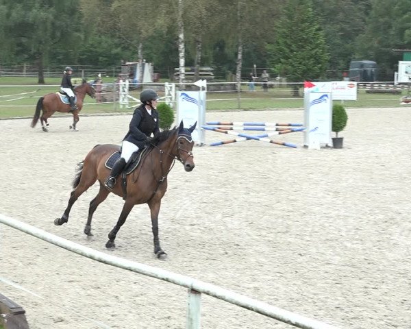 Reitturnier Winkel 2020
