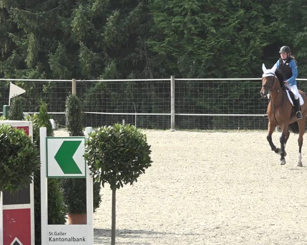 Reitturnier Winkel 2020