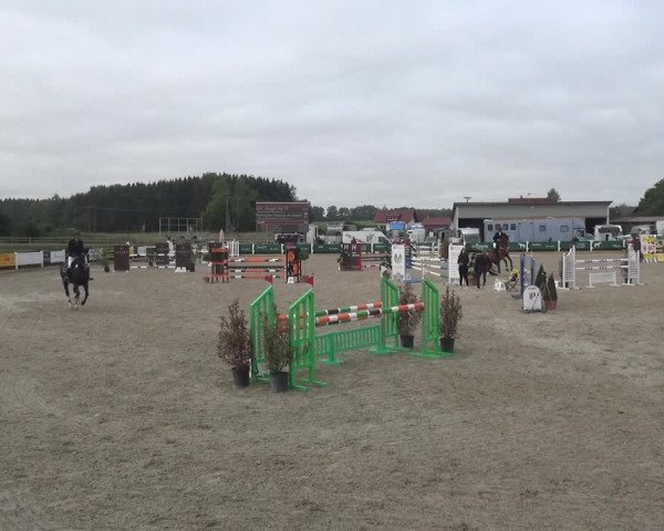 Reitturnier Sauldorf-Boll 2020