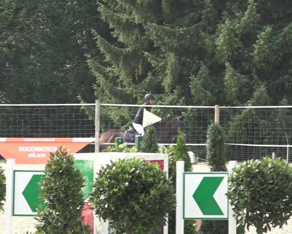 Reitturnier Winkel 2020