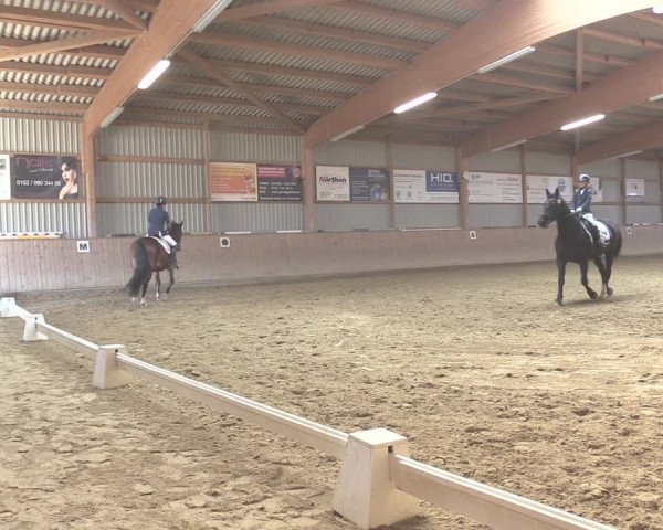 Reitturnier Uder, Reitanlage Kobold 2020