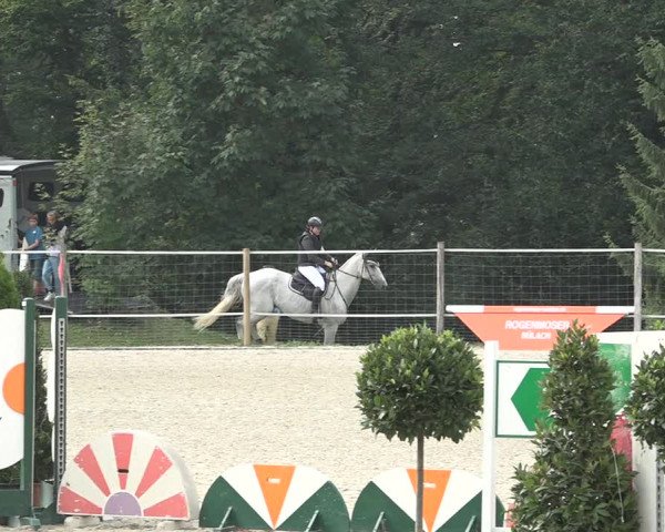 Reitturnier Winkel 2020