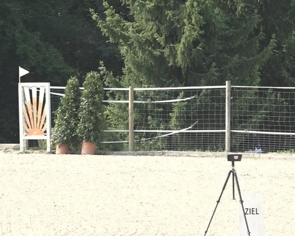 Reitturnier Winkel 2020