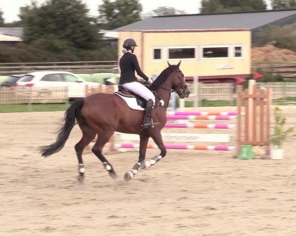 Reitturnier Schülp / Rendsburg 2020