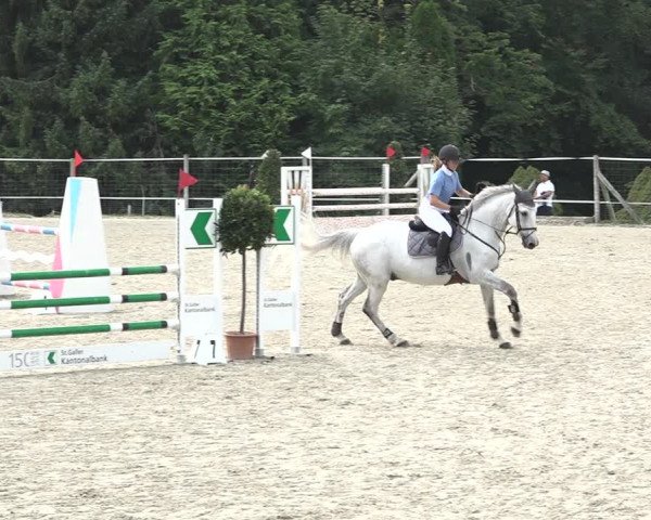 Reitturnier Winkel 2020