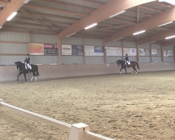 Reitturnier Uder, Reitanlage Kobold 2020
