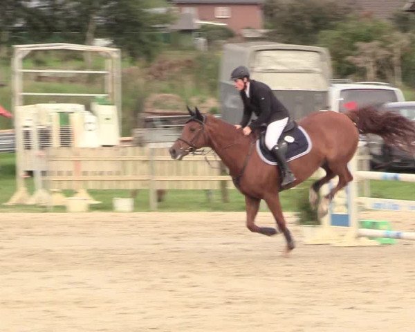 Reitturnier Schülp / Rendsburg 2020
