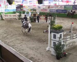 dressage horse Oreo (KWPN (Royal Dutch Sporthorse), 2008)