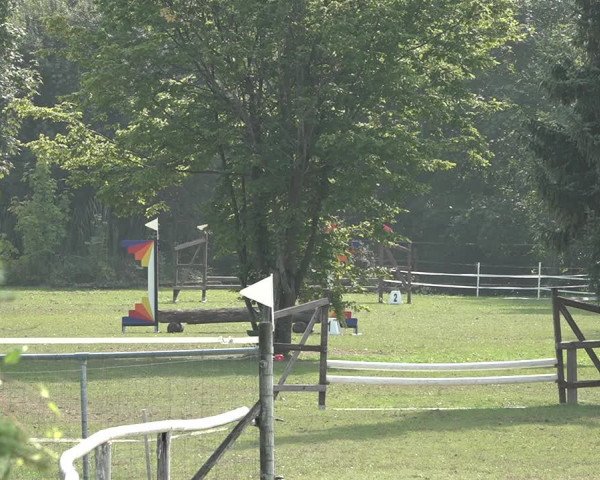 Reitturnier Winkel 2020