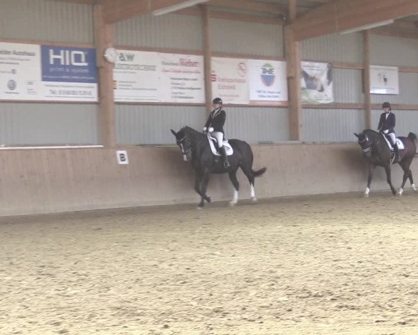 Reitturnier Uder, Reitanlage Kobold 2020