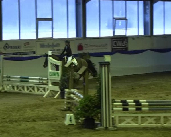 dressage horse Copabella (Holsteiner, 2008, from Canturo)