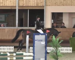 broodmare Landliebe (Hanoverian, 2009, from Landstreicher)