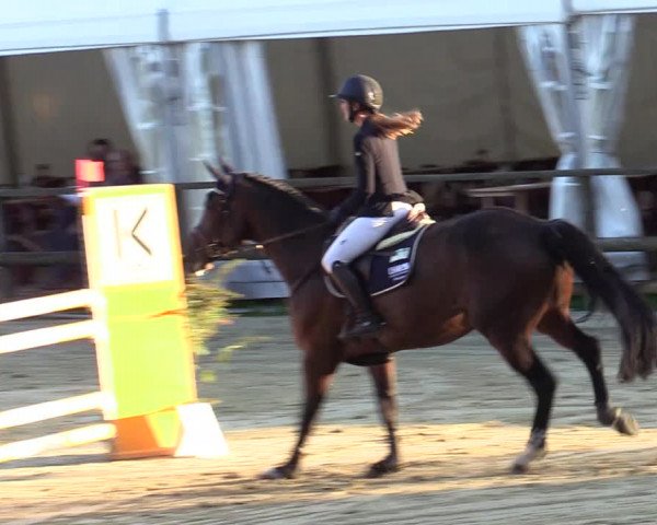 Reitturnier Albersloh 2020