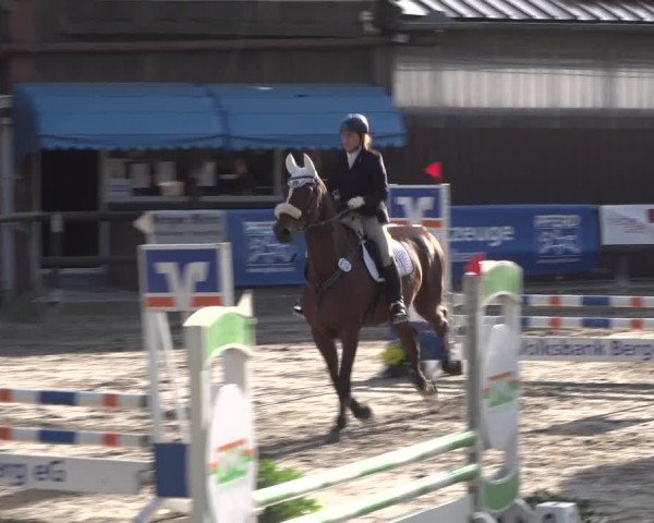 Reitturnier Marienheide-Kempershöhe 2020