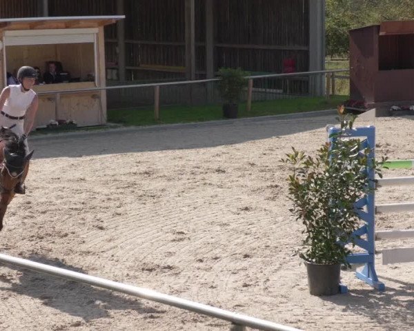 Reitturnier Köngen 2020