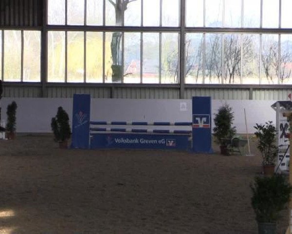 dressage horse Lysanias (Trakehner, 2011, from Herzruf)