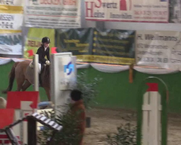dressage horse Bonito 409 (Dutch Pony m.arab.Blutant., 2002, from Boy)