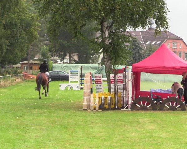 Reitturnier Altmittweida 2021