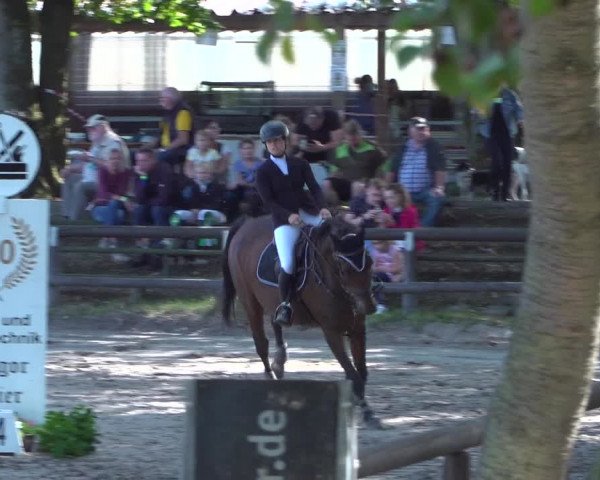 Reitturnier Marienheide-Kempershöhe 2020