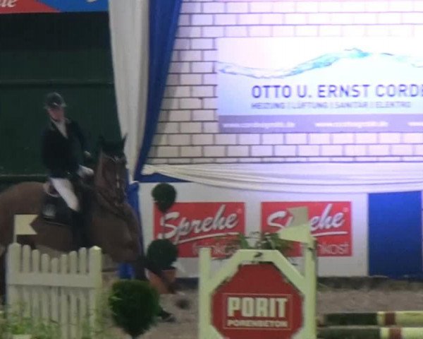 Springpferd I'm Special van het Heike (Belgisches Warmblut, 2008, von Lordanos)