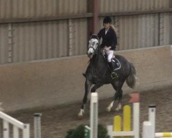jumper Cosima 254 (Hanoverian, 2010, from Cornado NRW)