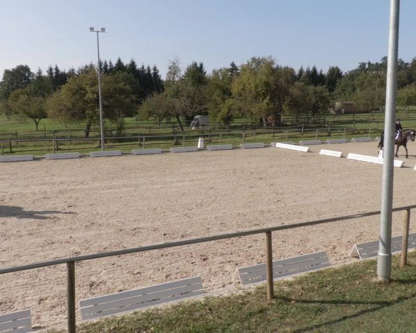 Reitturnier Köngen 2020