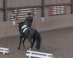 dressage horse Luna 1819 (Oldenburg, 2009, from Christ)