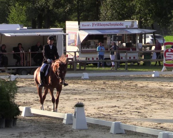 Reitturnier Albersloh 2020