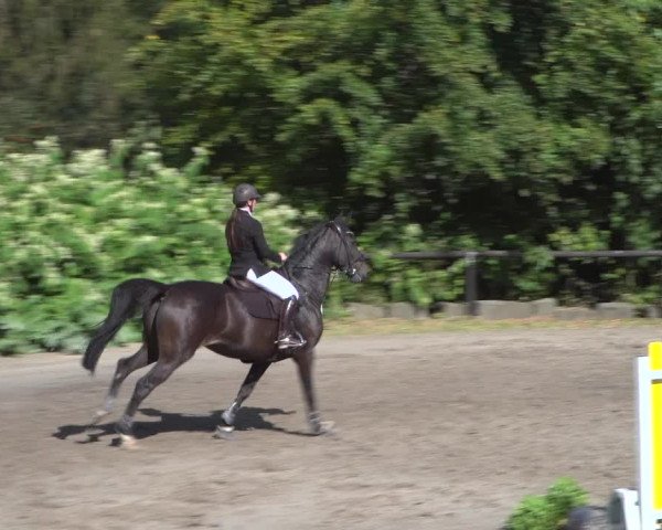 Reitturnier Marienheide-Kempershöhe 2020