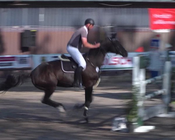 Reitturnier Marienheide-Kempershöhe 2020