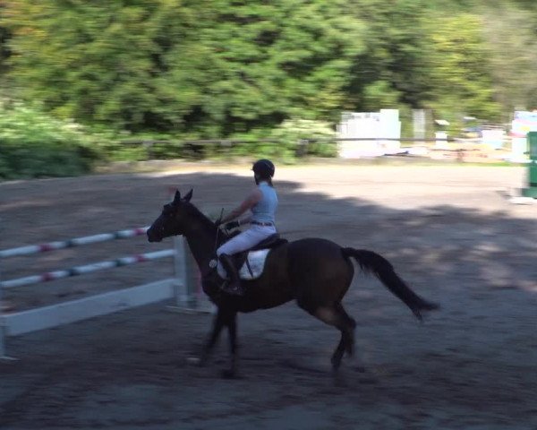 Reitturnier Marienheide-Kempershöhe 2020