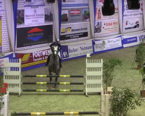 jumper Casino Royal 33 (Hanoverian, 2010, from Charilan)