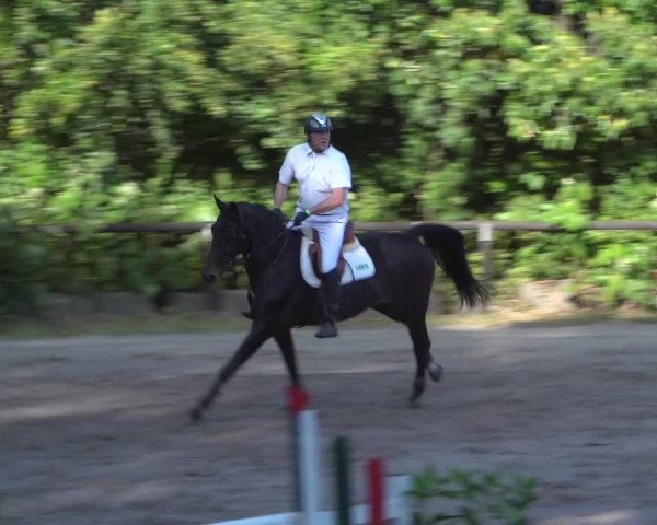 Reitturnier Marienheide-Kempershöhe 2020