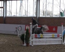 Dressurpferd Candy Crush Ab (Westfale, 2010, von Camax L)