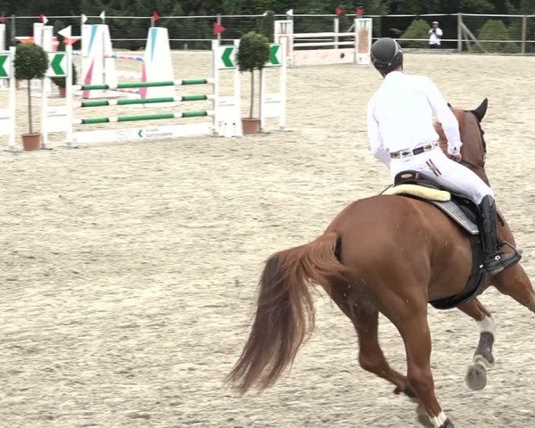 Reitturnier Winkel 2020