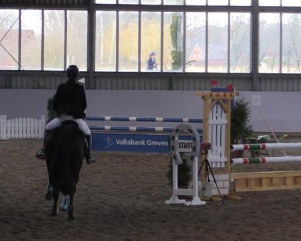 jumper Churinga (Oldenburg, 2002, from Pavarotti van de Helle)