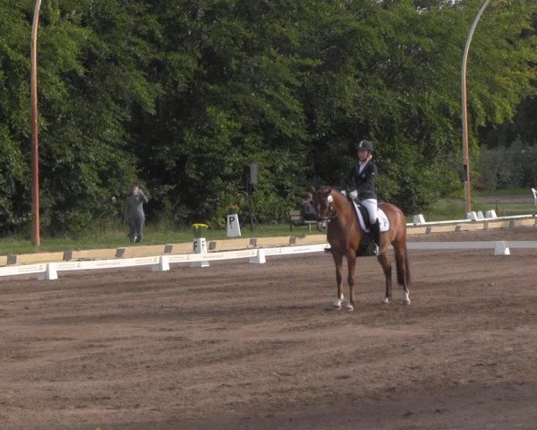 Reitturnier Dallgow 2020