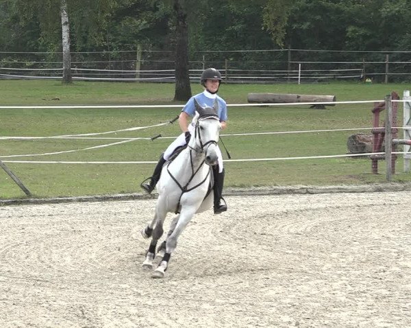Reitturnier Winkel 2020