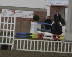 jumper Casparo 27 (Westphalian, 2010, from Cornet Fever)