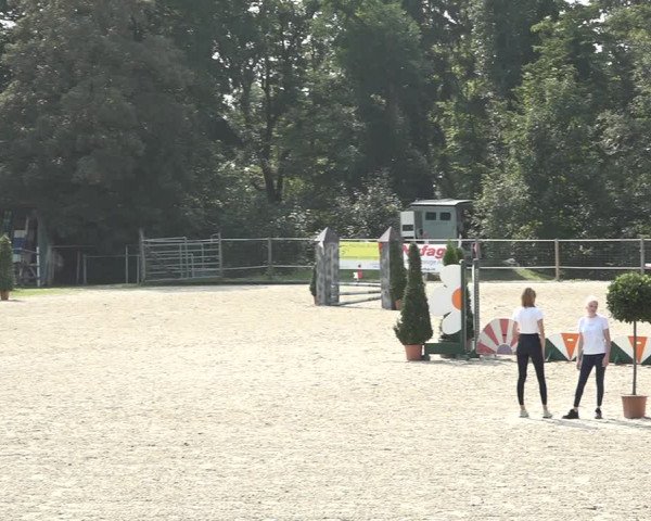 Reitturnier Winkel 2020