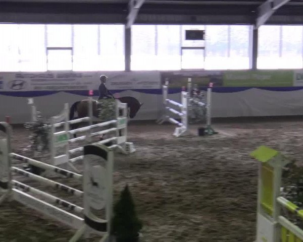Springpferd Carry Way (Holsteiner, 2009, von Caretino)