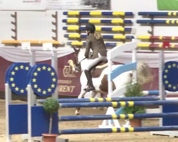 jumper Lolita 212 (German Riding Pony, 2006, from Krazy King)