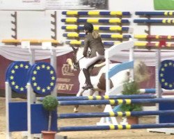 jumper Lolita 212 (German Riding Pony, 2006, from Krazy King)