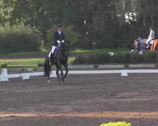 Reitturnier Dallgow 2020
