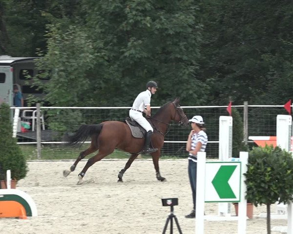 Reitturnier Winkel 2020