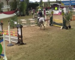 horse Elrocco Blue (KWPN (Royal Dutch Sporthorse), 2009, from Zirocco Blue)