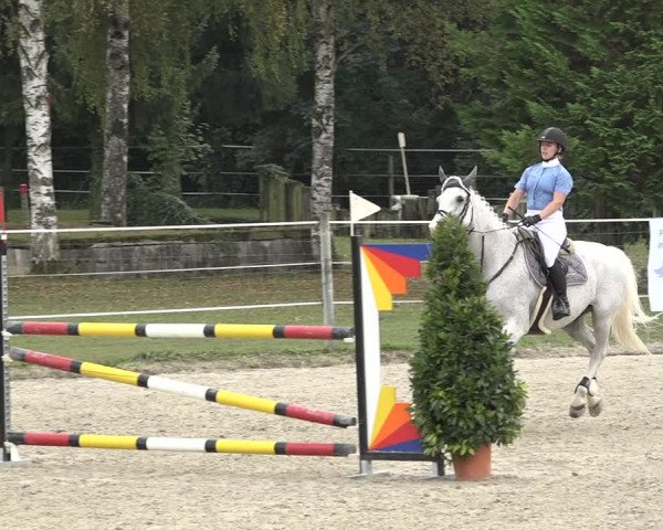 Reitturnier Winkel 2020