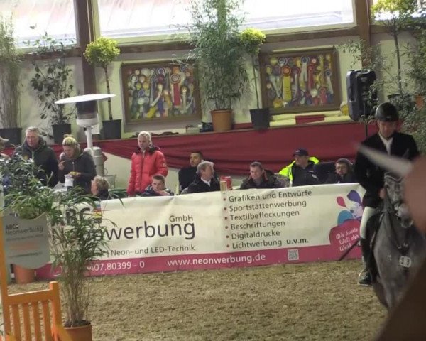 jumper Cornada LzL (Westphalian, 2009, from Cornado NRW)